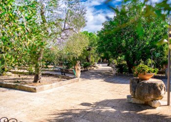 Giardino - Villa Via Randa
 
snc, Bitritto - photo 48