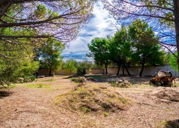 Giardino - Villa Via Randa
 
snc, Bitritto - photo 56