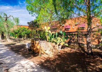 Giardino - Villa Via Randa
 
snc, Bitritto - photo 57