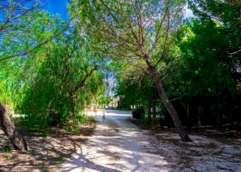 Giardino - Villa Via Randa
 
snc, Bitritto - photo 59