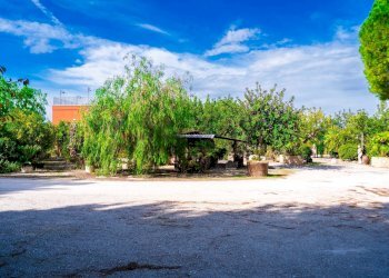 Giardino - Villa Via Randa
 
snc, Bitritto - photo 62