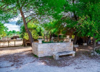 Giardino - Villa Via Randa
 
snc, Bitritto - photo 67