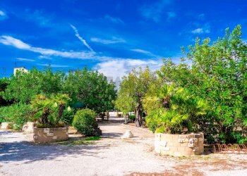 Giardino - Villa Via Randa
 
snc, Bitritto - photo 69