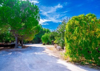 Giardino - Villa Via Randa
 
snc, Bitritto - photo 70