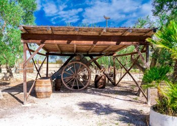 Terrazza - Villa Via Randa
 
snc, Bitritto - photo 72