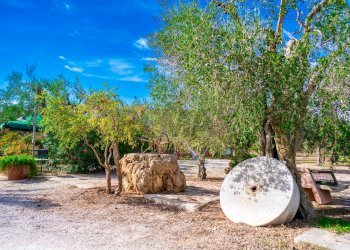 Giardino - Villa Via Randa
 
snc, Bitritto - photo 73