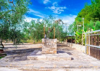 Giardino - Villa Via Randa
 
snc, Bitritto - photo 74