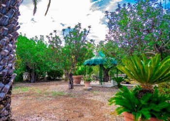 Giardino - Villa Via Randa
 
snc, Bitritto - photo 78