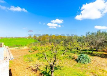 Giardino - Villa Strada Cancello, Noci - foto 39