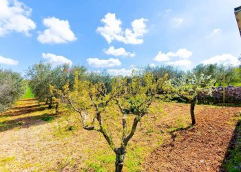Giardino - Villa Strada Cancello, Noci - foto 40