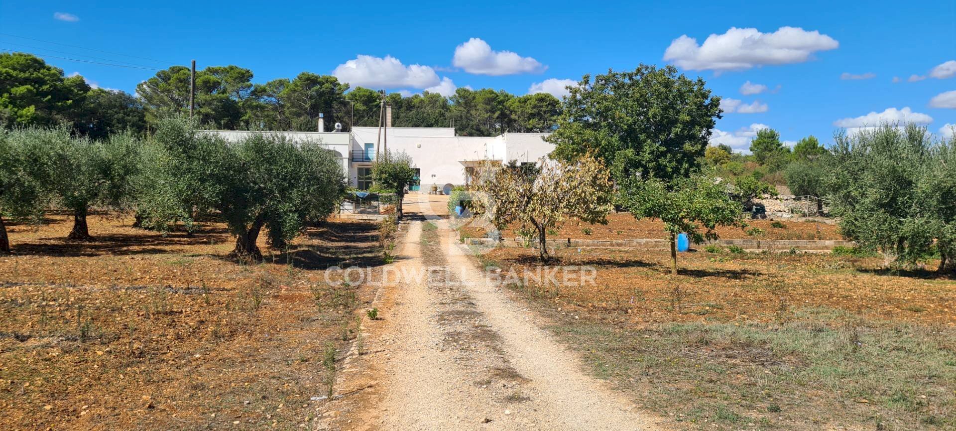 Foto 1 - Casa indipendente Strada Conserva Z/F
 
447/a, Martina Franca - foto 1