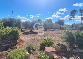 Foto 20 - Casa indipendente Strada Conserva Z/F
 
447/a, Martina Franca - foto 20