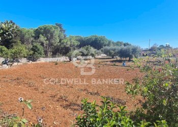 Foto 21 - Casa indipendente Strada Conserva Z/F
 
447/a, Martina Franca - foto 21