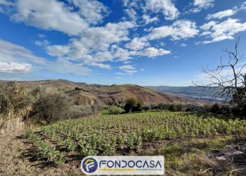 Foto 5 - Terreno edificabile VIA EMIDIO LUZI, Ascoli Piceno - foto 5