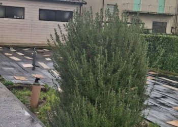 Foto 6 - Casa semi indipendente VIA NAZIONALE
 
21, Bibbiena - foto 6