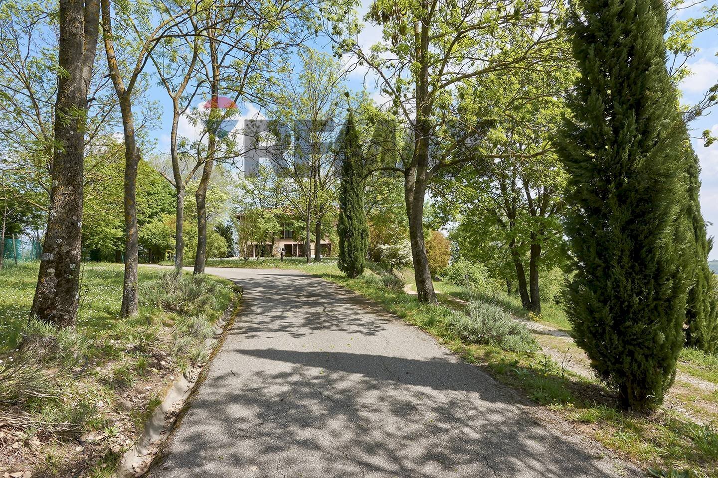 Giardino - Villa Via del Sasso
 
10, Pianoro - photo 2