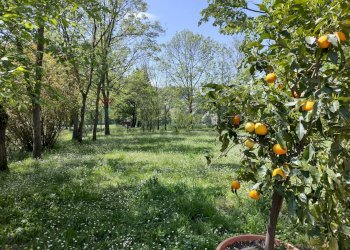 Giardino - Villa Via del Sasso
 
10, Pianoro - foto 11
