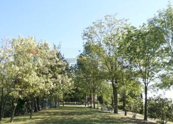 Giardino - Villa Via del Sasso
 
10, Pianoro - foto 15