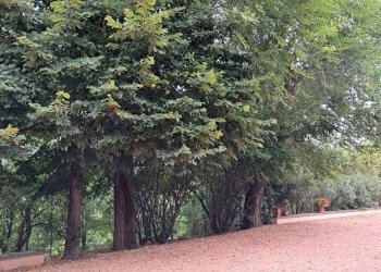 Giardino - Villa Via del Sasso
 
10, Pianoro - foto 20