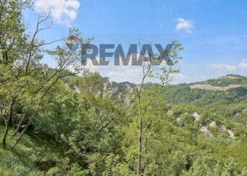 Vista colline - Villa Via del Sasso
 
10, Pianoro - foto 41