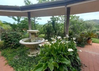 Giardino - Villa Corso Europa
 
1, Sassofeltrio - foto 52