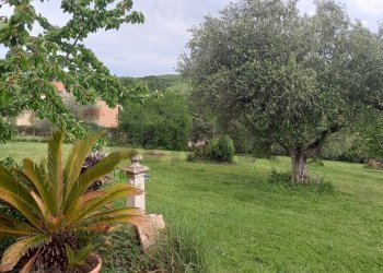 Giardino - Villa Corso Europa
 
1, Sassofeltrio - foto 53