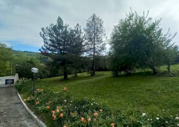 Giardino - Villa Corso Europa
 
1, Sassofeltrio - foto 61