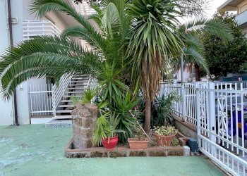 Giardino - Appartamento Riccione - foto 6