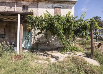 Giardino - Rustico Tavullia - foto 8