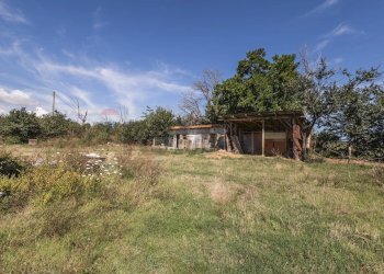 Giardino - Rustico Tavullia - foto 18