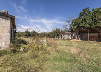 Giardino - Rustico Tavullia - foto 19