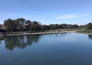 Borgo San Giuliano Rimini - Commercial Activity Viale Tiberio
 
83, Rimini - photo 14