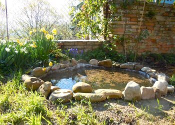 Giardino - Castello Via Roma
 
41, Saludecio - foto 11