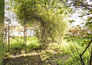 Giardino - Casa semi indipendente Via Roma
 
41, Saludecio - foto 56