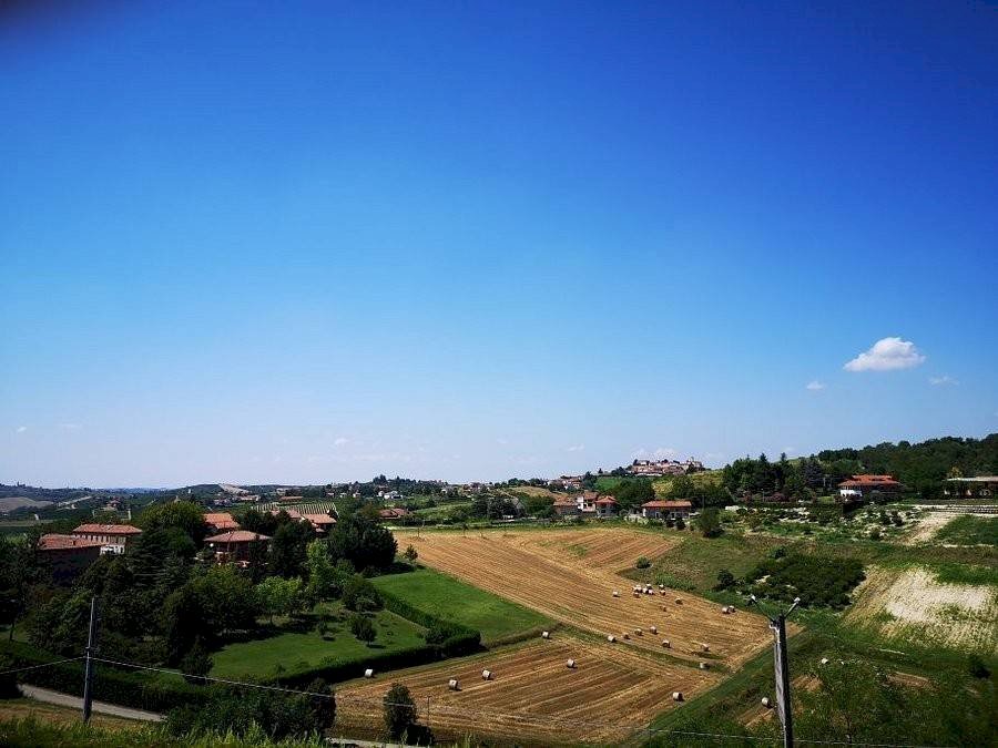 Vista - Rustico Montegrosso d'Asti - foto 3
