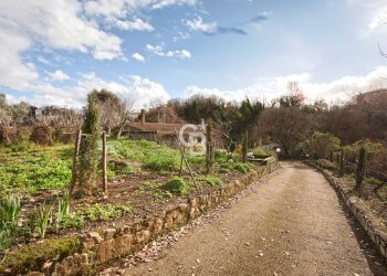 Foto 11 - Villa Via Cassia Vetralla, Vetralla - foto 11