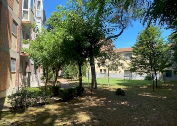 Giardino - Quadrilocale via Castelmerlo, 6, Bologna (zona Massarenti) - foto 16