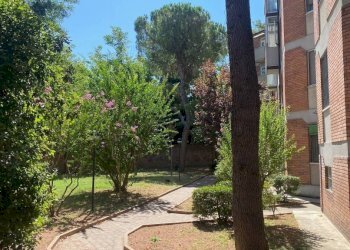 Giardino - Quadrilocale via Castelmerlo, 6, Bologna (zona Massarenti) - foto 24