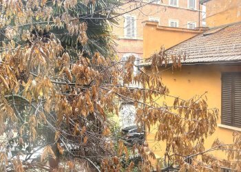 vista  - Bilocale via Olindo Guerrini, Bologna (zona Costa Saragozza) - foto 17