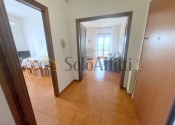 IMG_6865.JPG - Appartamento Osimo - foto 11