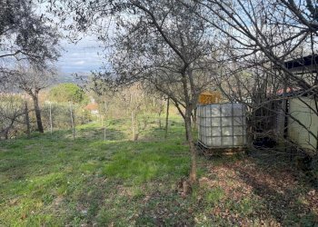 257cc164-00cc-4136-a92b-49ae91341ff0.jpg - Terratetto - Terracielo Via Mazzincollo 35-19, Sarzana - foto 9