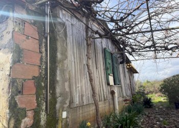 e56103ec-30df-437c-9c70-ebca42af50b8.jpg - Terratetto - Terracielo Via Mazzincollo 35-19, Sarzana - foto 28