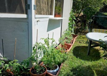 ca3.jpg - Casa indipendente Castelnuovo Magra - foto 4