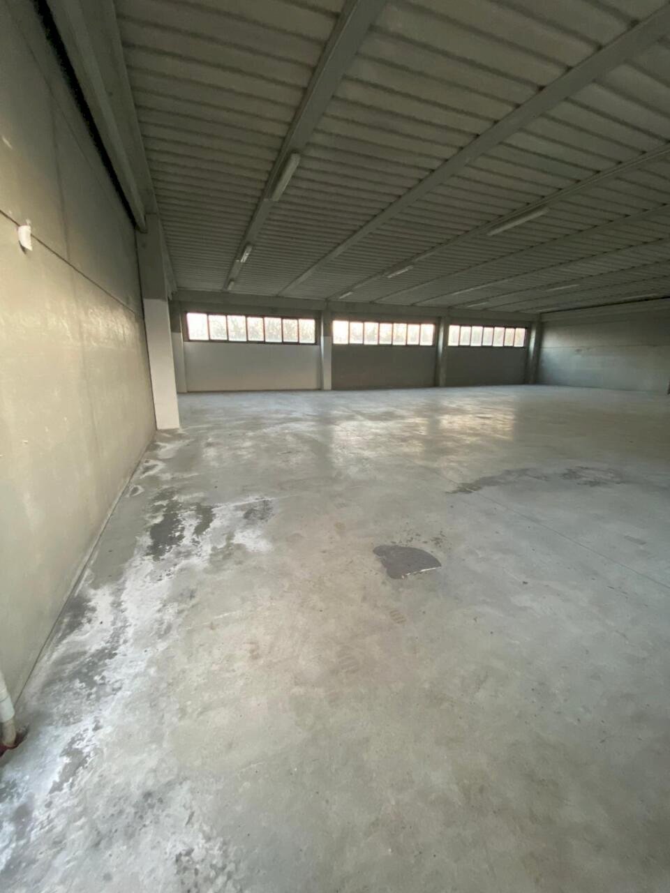 WhatsApp Image 2026-01-30 at 16.19.24 (1).jpeg - Magazzino Rovigo - foto 3