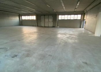 WhatsApp Image 2026-01-30 at 16.19.25.jpeg - Magazzino Rovigo - foto 2