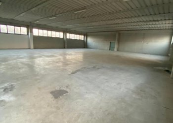 WhatsApp Image 2026-01-30 at 16.19.24.jpeg - Magazzino Rovigo - foto 4