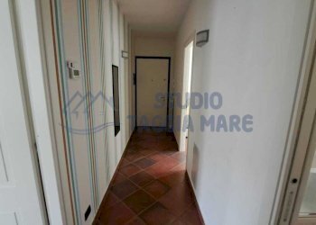 WhatsApp Image 2026-02-17 at 17.16.42.jpeg - Trilocale Strada per i Piani, Castellaro - foto 13