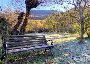 giardino - Casale Vaiano - foto 10