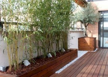 terrazza - Appartamento Via Fratelli Rosselli, Vaiano - foto 1