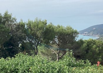 IMG_0302.jpg - Villa Via delle Rose, Rosignano Marittimo - foto 10